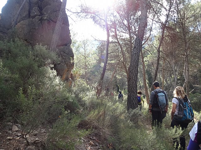 Ruta senderista La Fuente del Hilo - 43