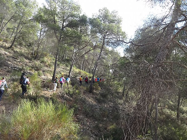 Ruta senderista La Fuente del Hilo - 44
