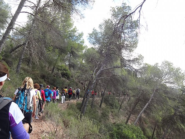 Ruta senderista La Fuente del Hilo - 45