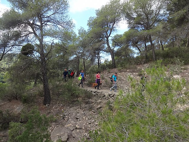 Ruta senderista La Fuente del Hilo - 48