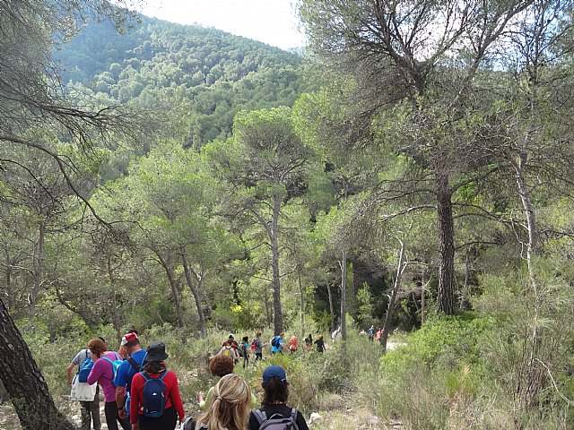 Ruta senderista La Fuente del Hilo - 50