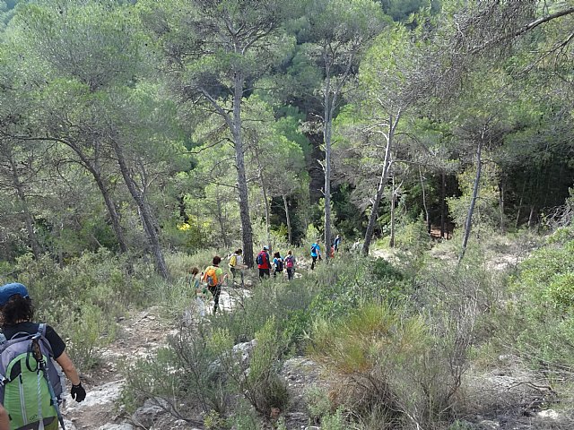 Ruta senderista La Fuente del Hilo - 52