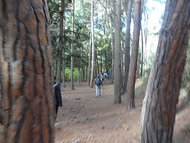 Ruta senderista La Fuente del Hilo - 53