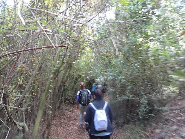 Ruta senderista La Fuente del Hilo - 54