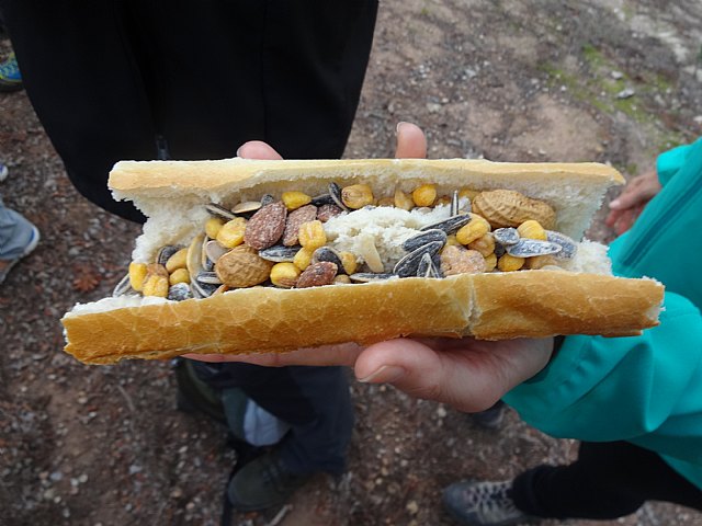 Ruta senderista La Fuente del Hilo - 58