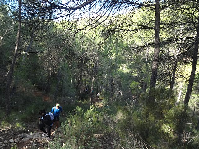 Ruta senderista La Fuente del Hilo - 70