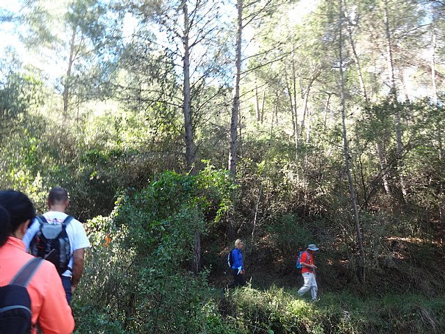 Ruta senderista La Fuente del Hilo - 72