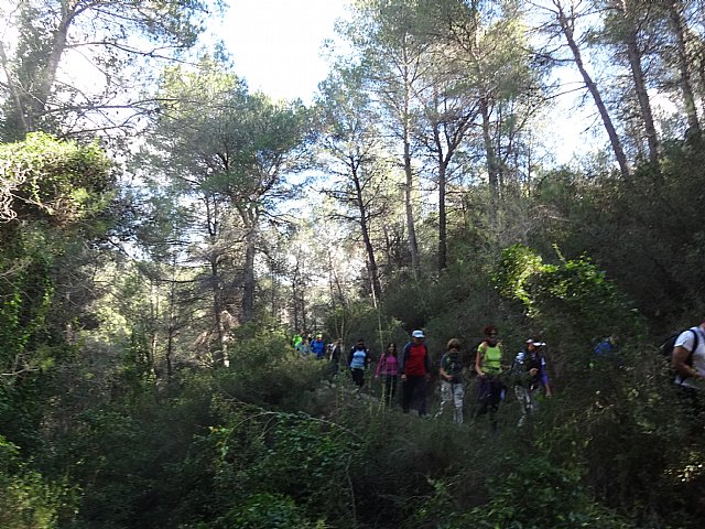 Ruta senderista La Fuente del Hilo - 73