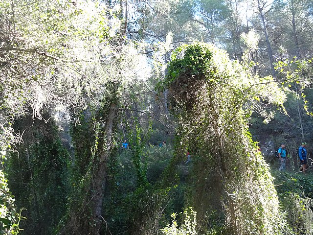 Ruta senderista La Fuente del Hilo - 75