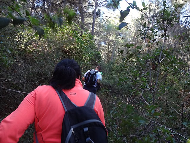 Ruta senderista La Fuente del Hilo - 76