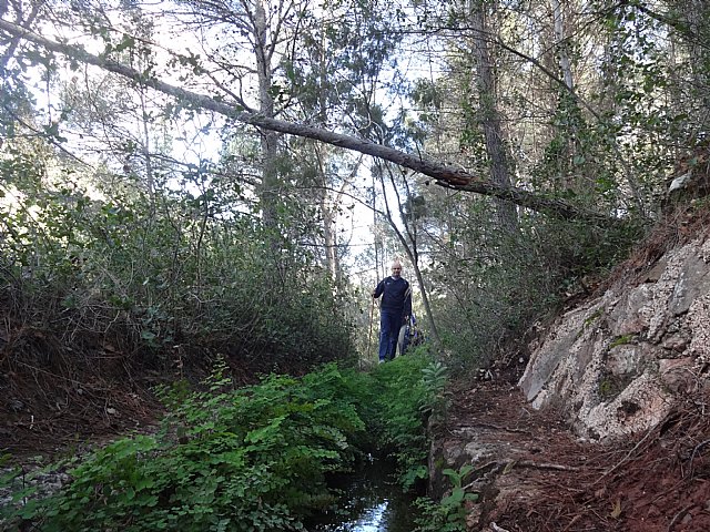 Ruta senderista La Fuente del Hilo - 78