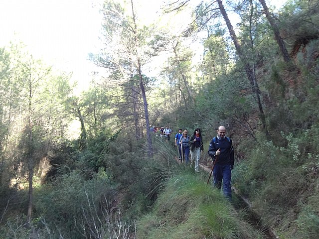 Ruta senderista La Fuente del Hilo - 80