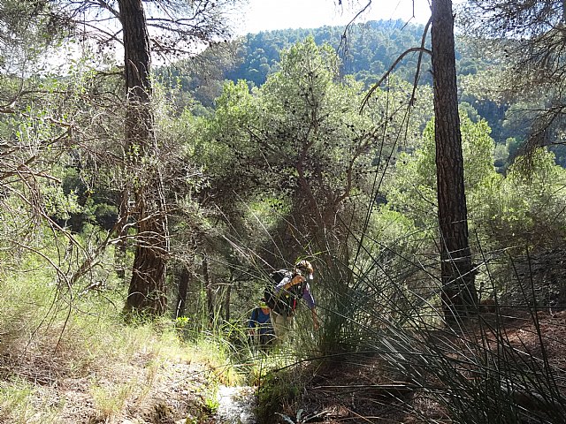 Ruta senderista La Fuente del Hilo - 90