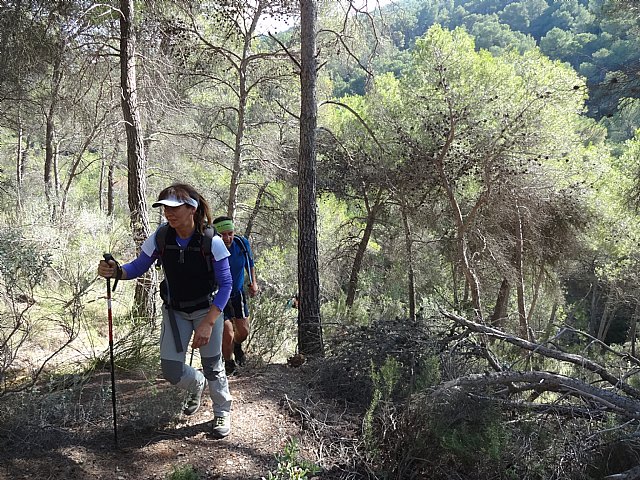 Ruta senderista La Fuente del Hilo - 91