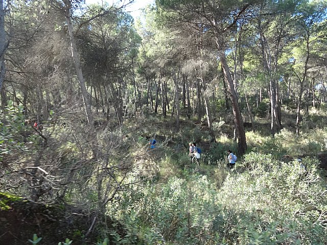 Ruta senderista La Fuente del Hilo - 102