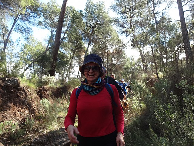 Ruta senderista La Fuente del Hilo - 103