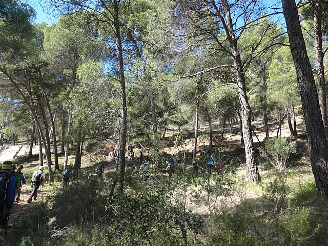 Ruta senderista La Fuente del Hilo - 105