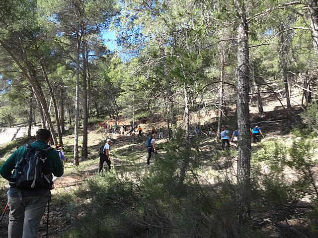 Ruta senderista La Fuente del Hilo - 106