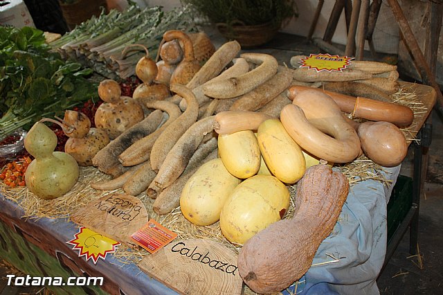 Festival gastronmico de vehculos de comida Food Trucks