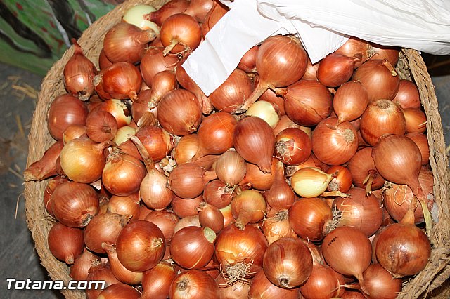 Festival gastronmico de vehculos de comida Food Trucks