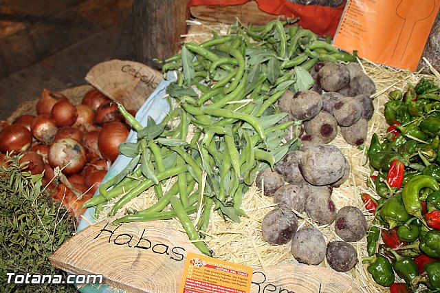 Festival gastronmico de vehculos de comida Food Trucks
