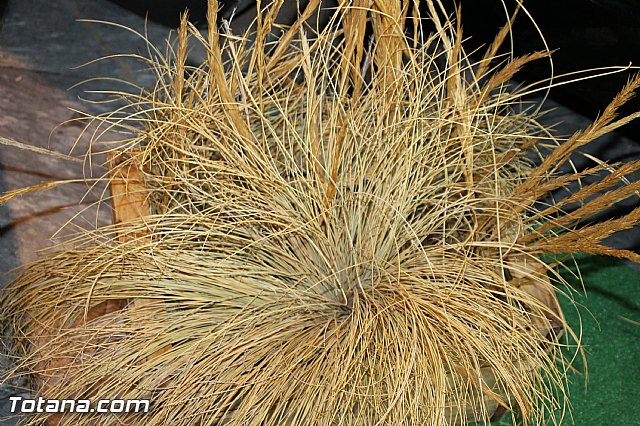 Festival gastronmico de vehculos de comida Food Trucks