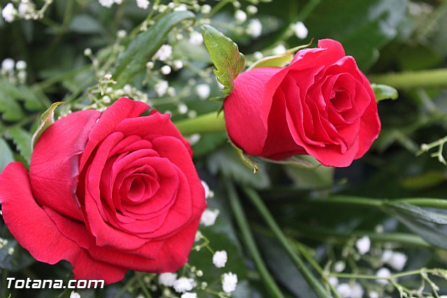 Procesin barrio de San Francisco 2015 - 53