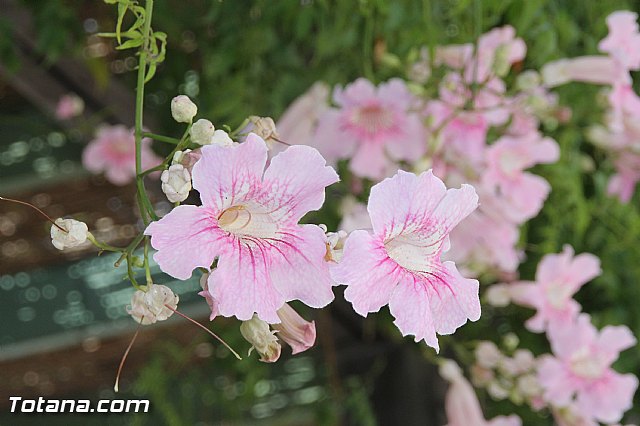 Misa da del Pilar - Guardia Civil 2016 - 193