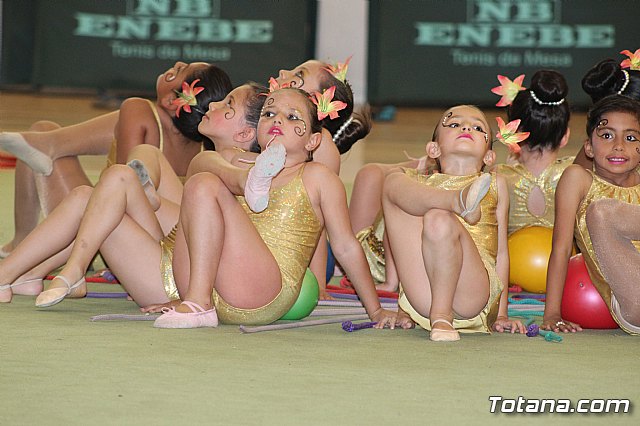 Clausura de la Escuela de Gimnasia Rtmica MOVE 2015 - 75