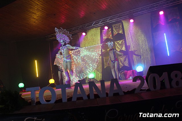 1 Concurso de DRAG QUEEN - Carnaval de Totana 2018 - 213