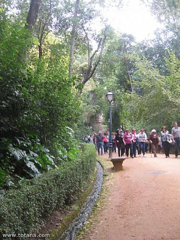 Viaje a Granada - Asociacin Sociocultural de la Mujer de Totana  - 114