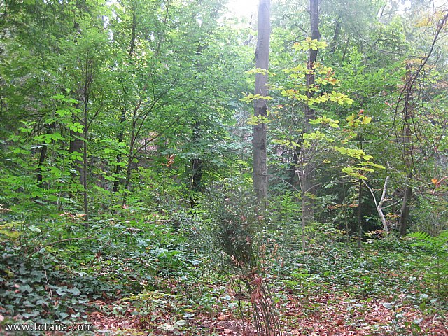 Viaje a Granada - Asociacin Sociocultural de la Mujer de Totana  - 116