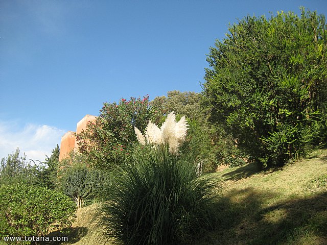 Viaje a Granada - Asociacin Sociocultural de la Mujer de Totana  - 12
