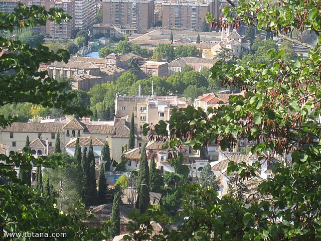 Viaje a Granada - Asociacin Sociocultural de la Mujer de Totana  - 19