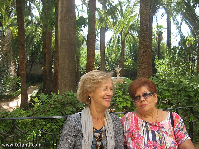 Viaje a Granada - Asociacin Sociocultural de la Mujer de Totana  - 30