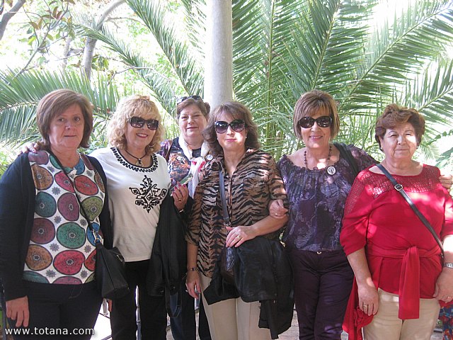 Viaje a Granada - Asociacin Sociocultural de la Mujer de Totana  - 34