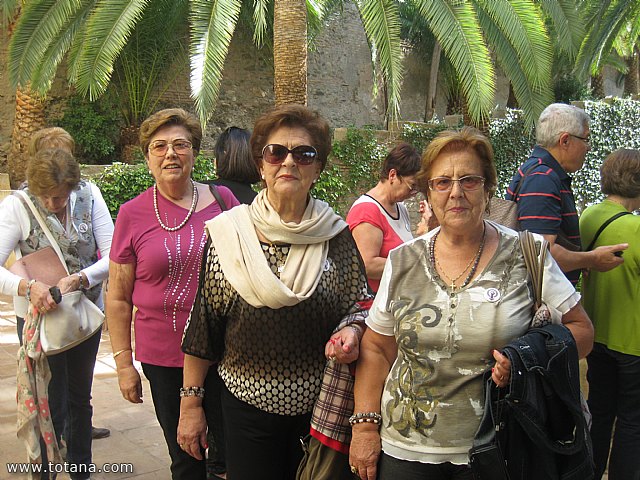Viaje a Granada - Asociacin Sociocultural de la Mujer de Totana  - 35