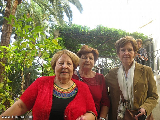 Viaje a Granada - Asociacin Sociocultural de la Mujer de Totana  - 37