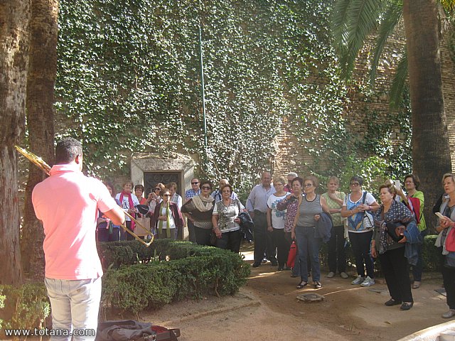 Viaje a Granada - Asociacin Sociocultural de la Mujer de Totana  - 41