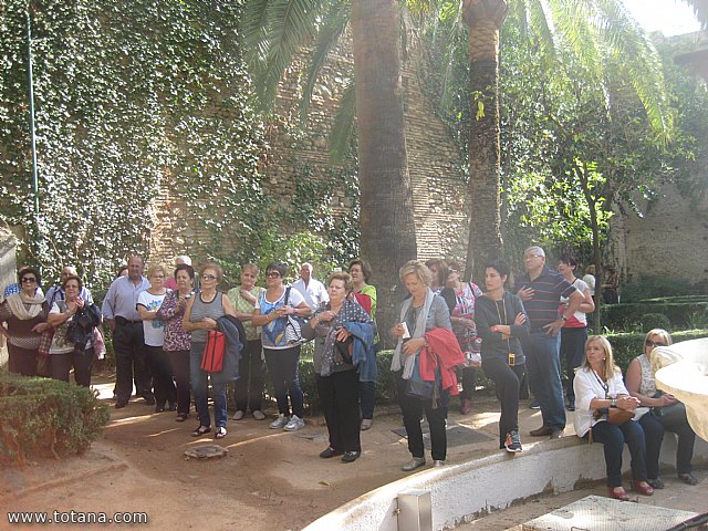 Viaje a Granada - Asociacin Sociocultural de la Mujer de Totana  - 42