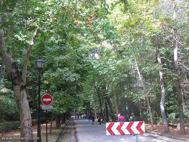 Viaje a Granada - Asociacin Sociocultural de la Mujer de Totana  - 56