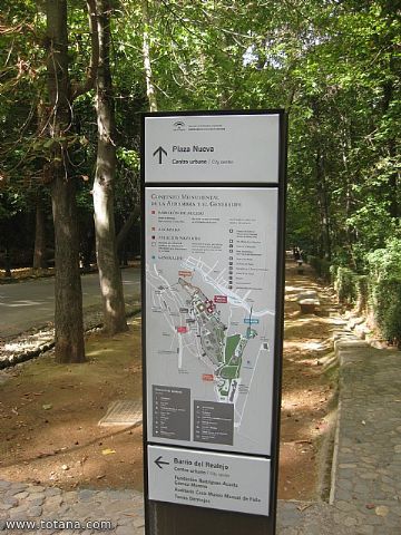 Viaje a Granada - Asociacin Sociocultural de la Mujer de Totana  - 61