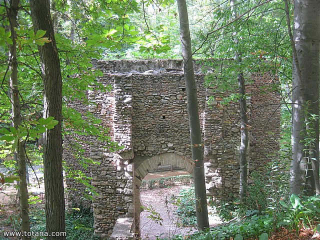 Viaje a Granada - Asociacin Sociocultural de la Mujer de Totana  - 62