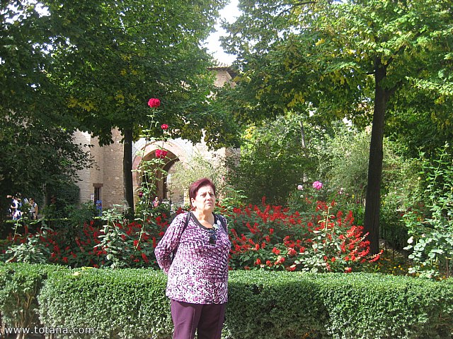 Viaje a Granada - Asociacin Sociocultural de la Mujer de Totana  - 78