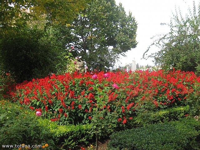Viaje a Granada - Asociacin Sociocultural de la Mujer de Totana  - 90