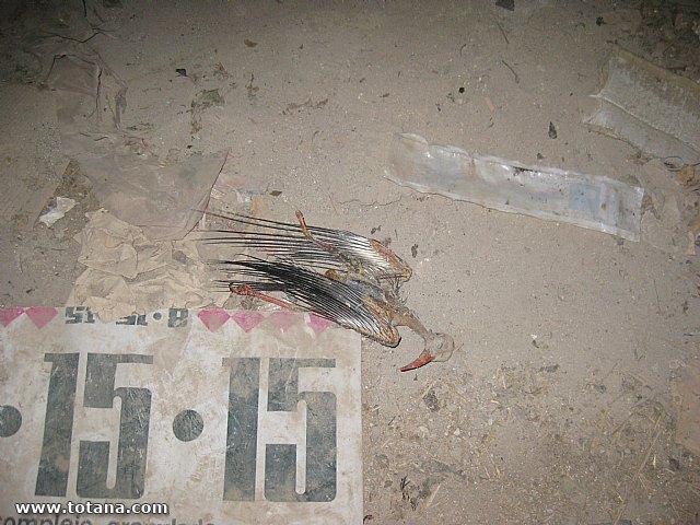 Viaje Guadix y La Calahorra (Granada) - 153