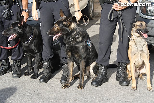 I Encuentro Interpolicial de Guas Caninos de la Regin de Murcia - 18