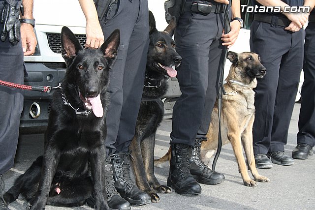I Encuentro Interpolicial de Guas Caninos de la Regin de Murcia - 42