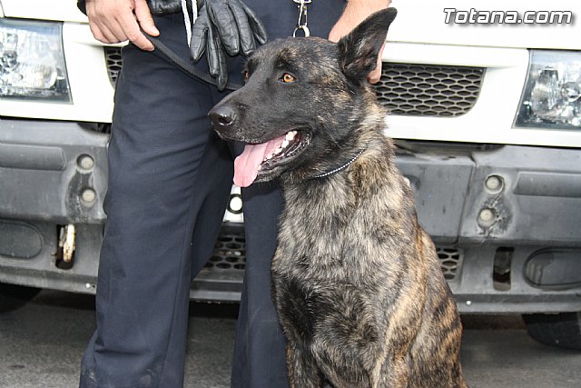 I Encuentro Interpolicial de Guas Caninos de la Regin de Murcia - 46