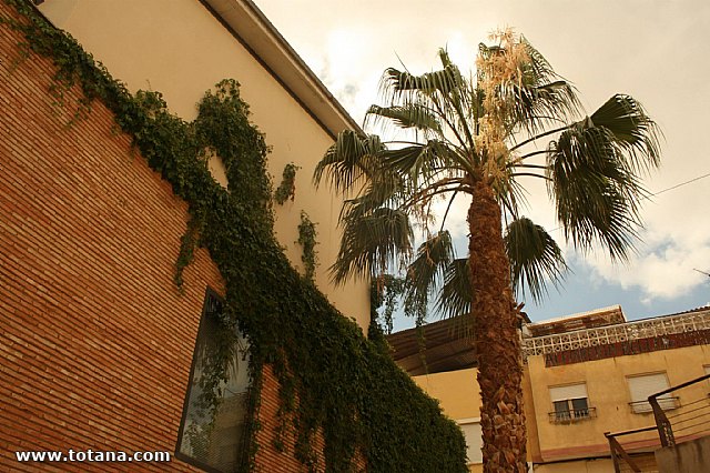 Gymkana Totanera - Asociacin Cultural  El Caico - 28